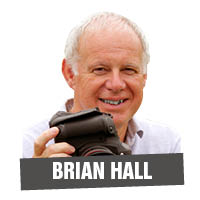 Brian Hall portrait